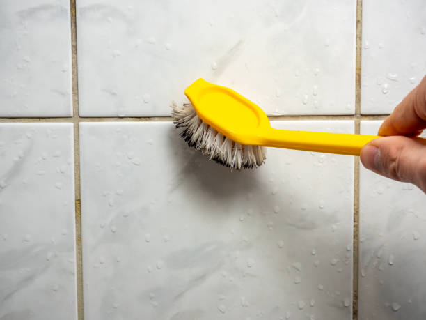 Best Professional Mold Removal  in Bellevue, KY