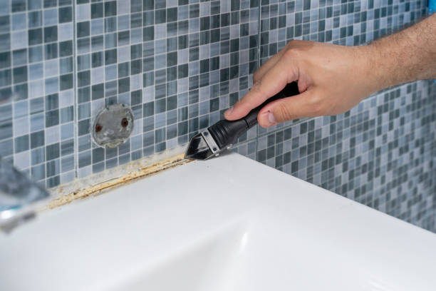 Best Local Mold Removal Service  in Bellevue, KY